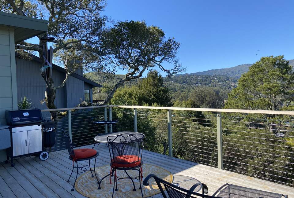Mill Valley Bungalow - Mill Valley, California
