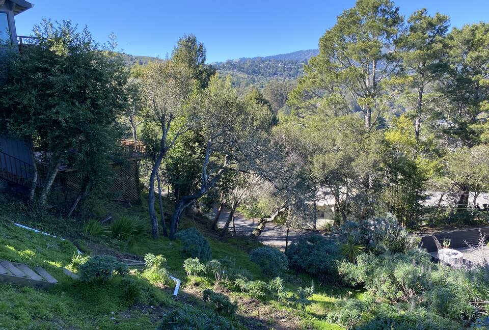 Mill Valley Bungalow - Mill Valley, California