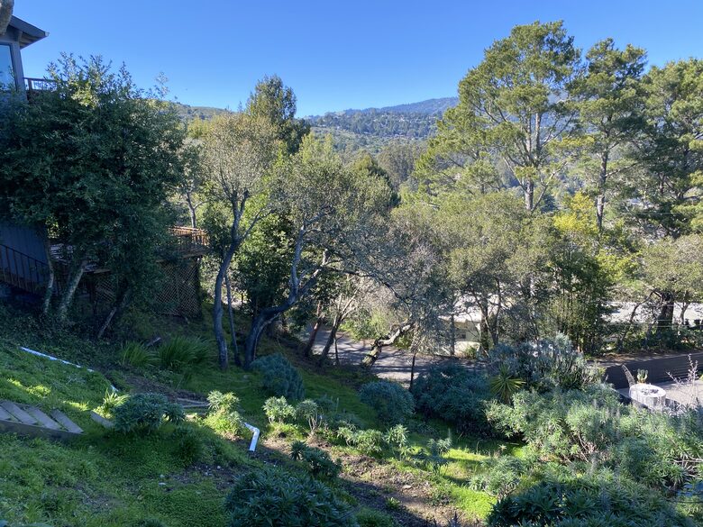 Mill Valley Bungalow - Mill Valley, California