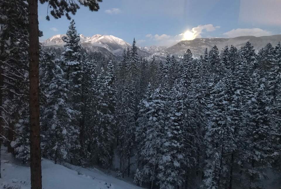 Moon rising in the east over snow covered trees.