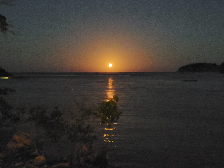 LillyBelleMar - Port Antonio, Jamaica