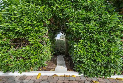 Jupiter Island Beach Escape - Jupiter Island, Florida