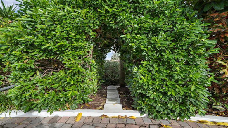 Jupiter Island Beach Escape - Jupiter Island, Florida