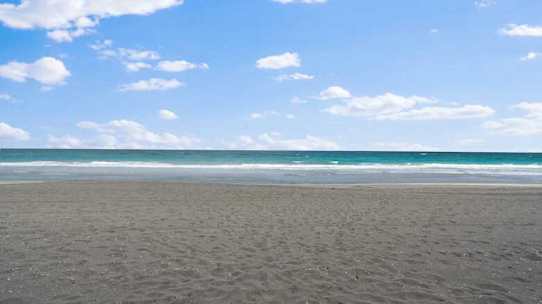 Jupiter Island Beach Escape - Jupiter Island, Florida