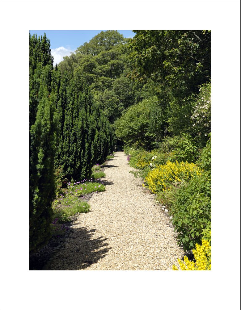 Scotland at its Finest - Torsonce Estate - Stow, United Kingdom