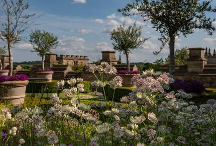 The Lost Orangery at Euridge Manor - Chippenham, United Kingdom