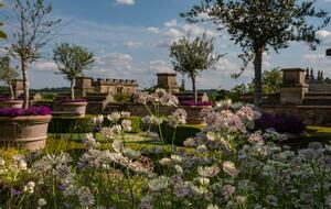 The Lost Orangery at Euridge Manor - Chippenham, United Kingdom