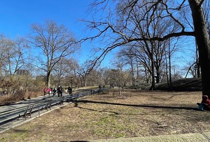 Central Park Dreamer - New York, New York