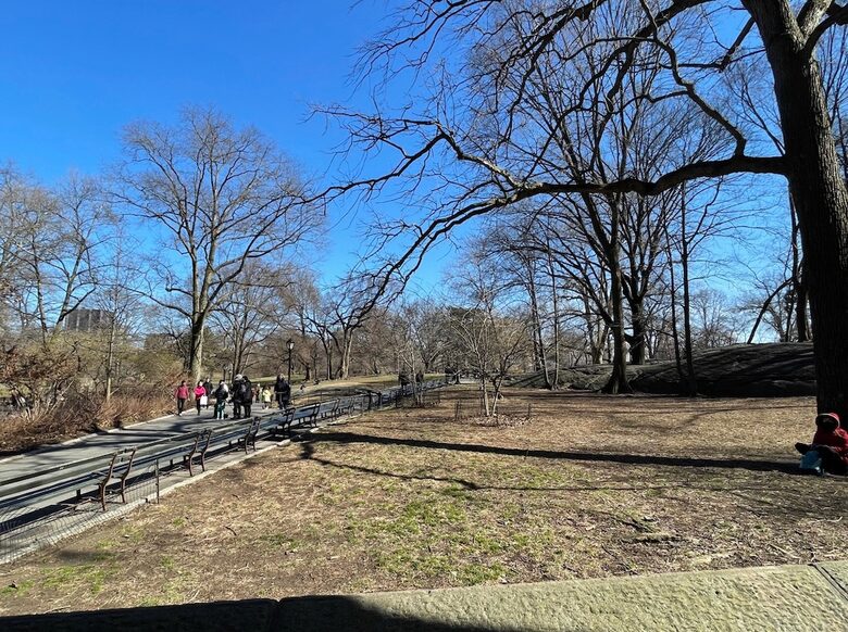 Central Park Dreamer - New York, New York