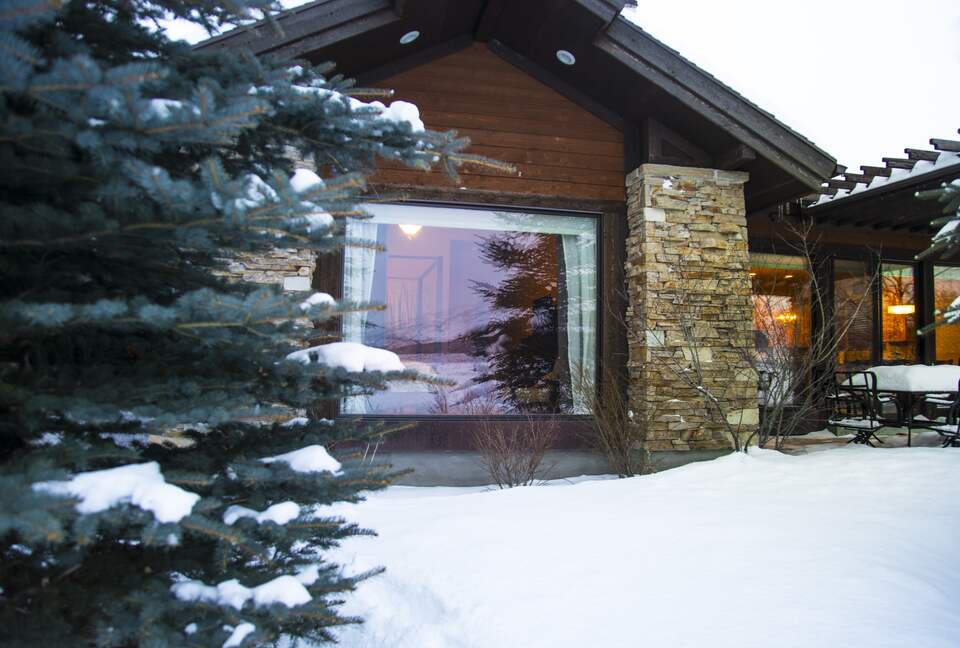 Exterior view of house and pine tree covered in snow