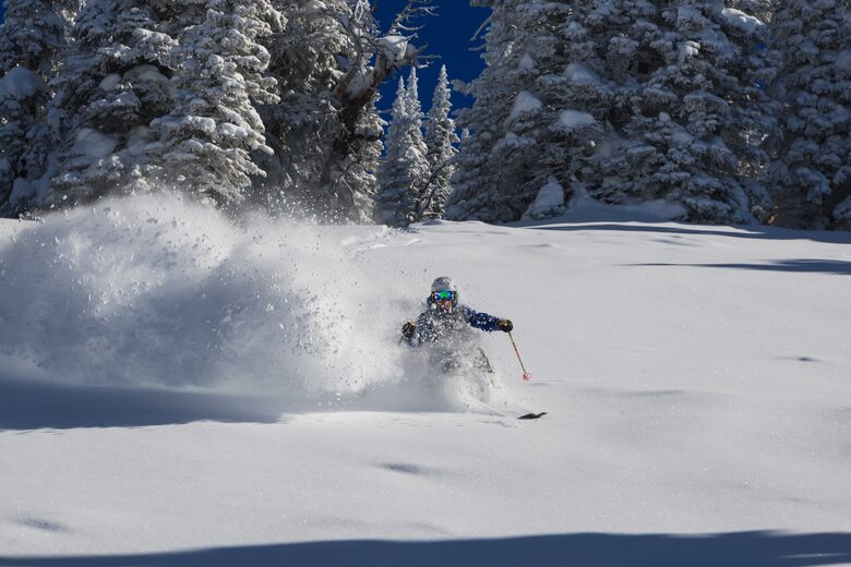 Downhill skier in snow with trees in the background
