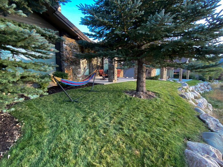 Hammock in the grass next to the house