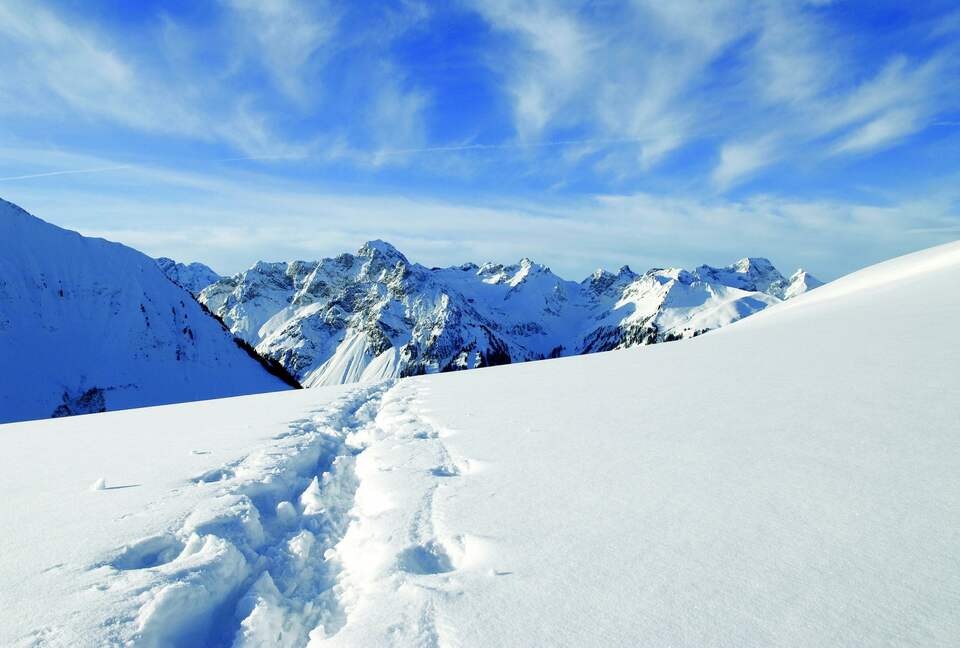 Historical Alpine Chalet in Austria - Schoppernau, Austria