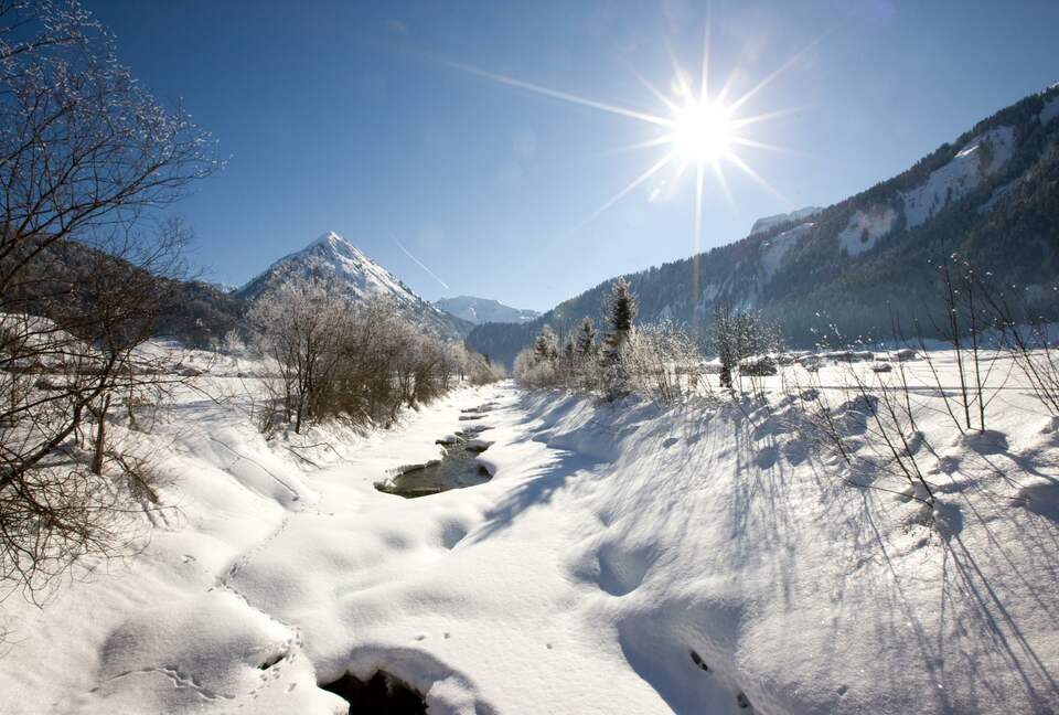Historical Alpine Chalet in Austria - Schoppernau, Austria