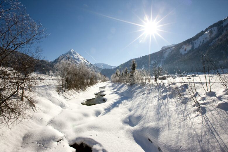 Historical Alpine Chalet in Austria - Schoppernau, Austria