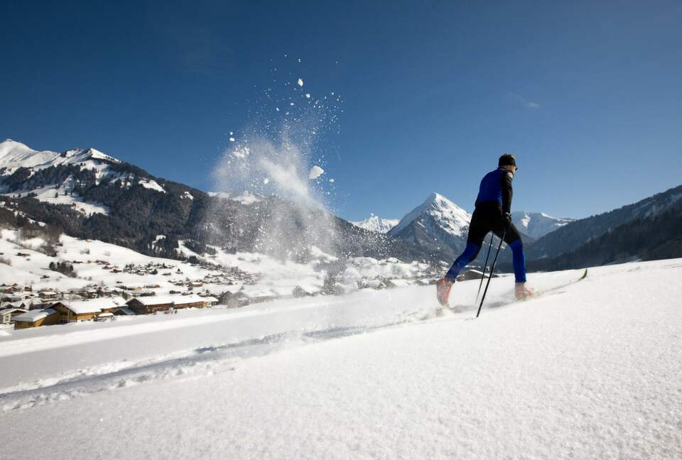 Historical Alpine Chalet in Austria - Schoppernau, Austria