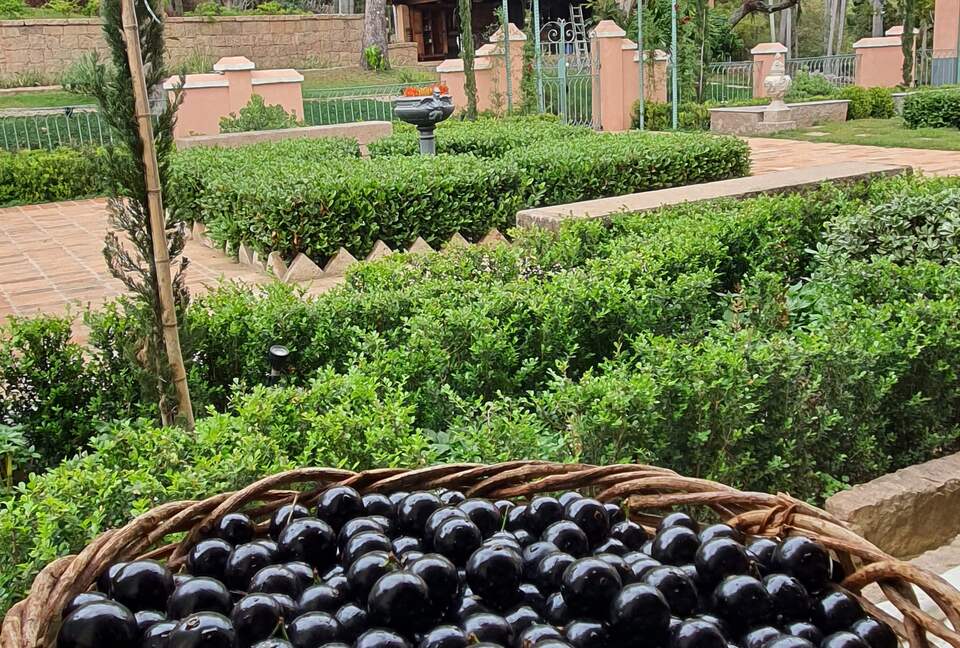Historical Vale Verde Farmhouse - Itupeva, Brazil
