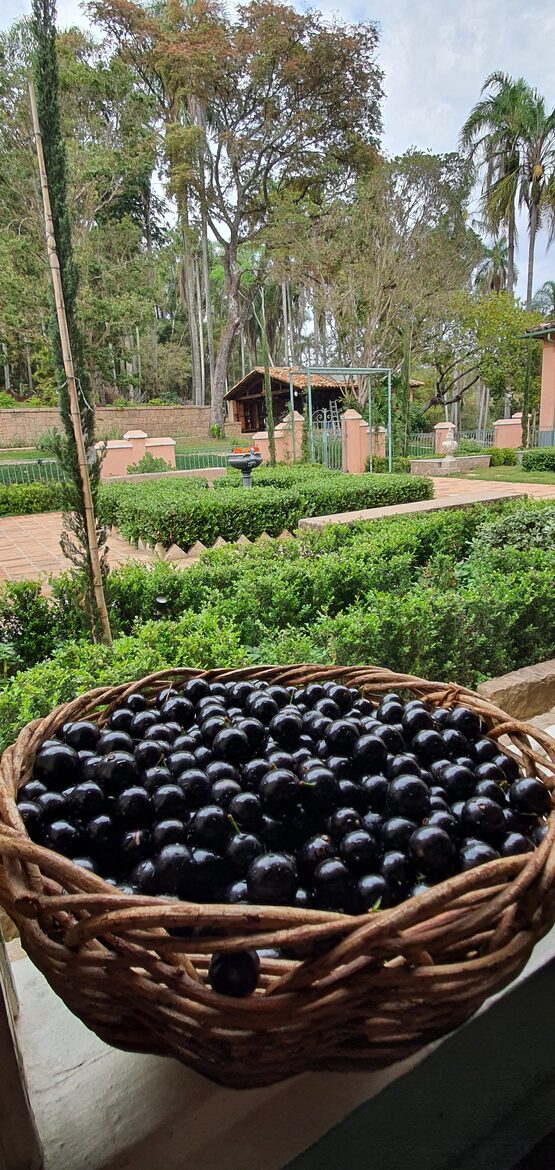 Historical Vale Verde Farmhouse - Itupeva, Brazil