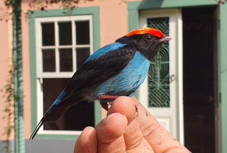 Historical Vale Verde Farmhouse - Itupeva, Brazil