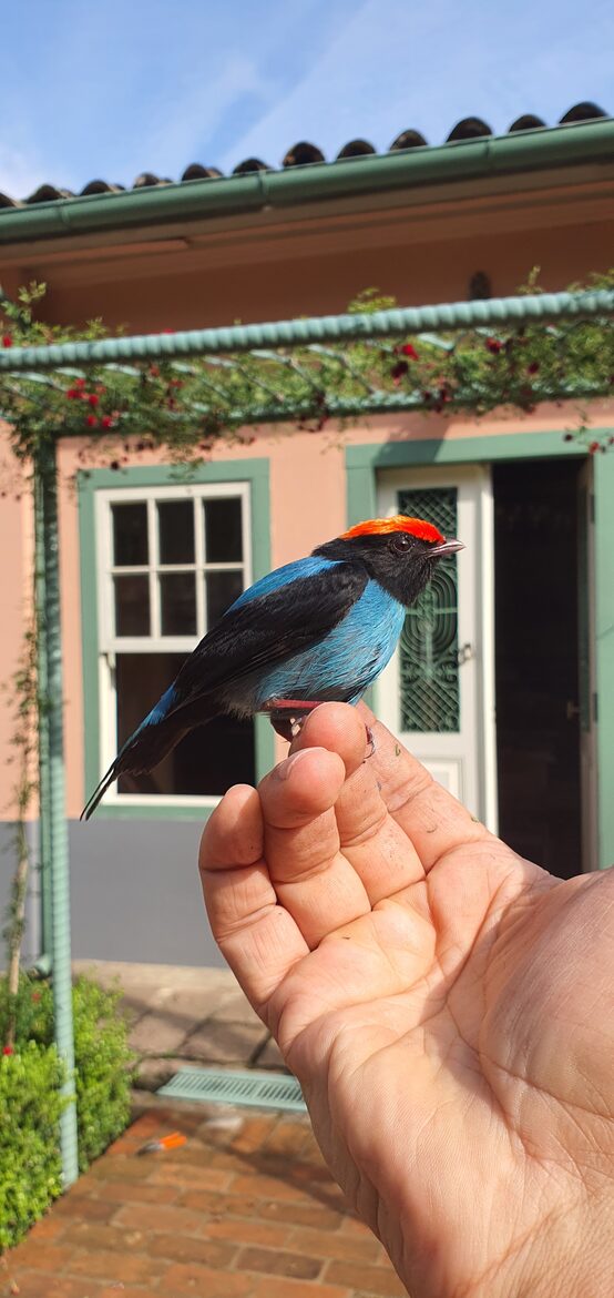Historical Vale Verde Farmhouse - Itupeva, Brazil