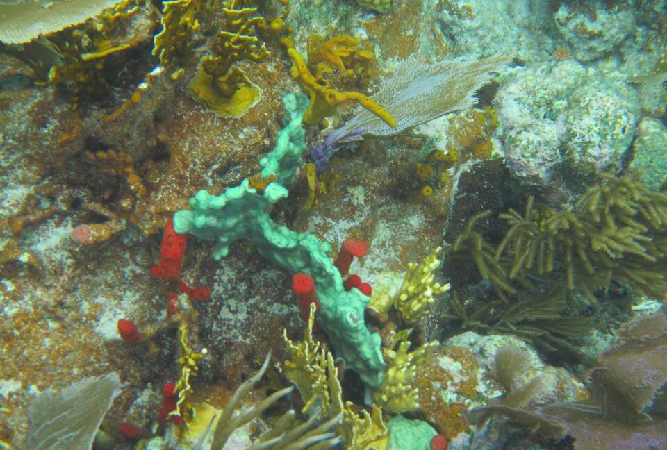 Virgin Islands Sailing – 50’ Luxury Crewed Catamaran - St. Thomas, Virgin Islands, U.S.