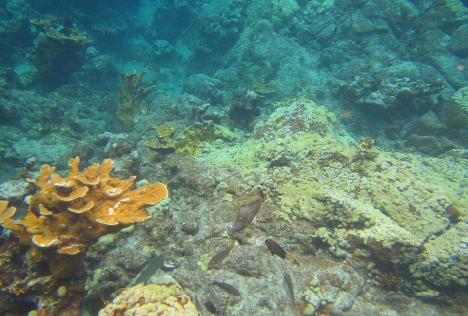 Virgin Islands Sailing – 50’ Luxury Crewed Catamaran - St. Thomas, Virgin Islands, U.S.