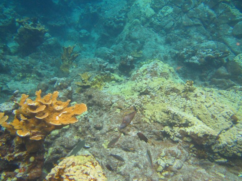 Virgin Islands Sailing – 50’ Luxury Crewed Catamaran - St. Thomas, Virgin Islands, U.S.