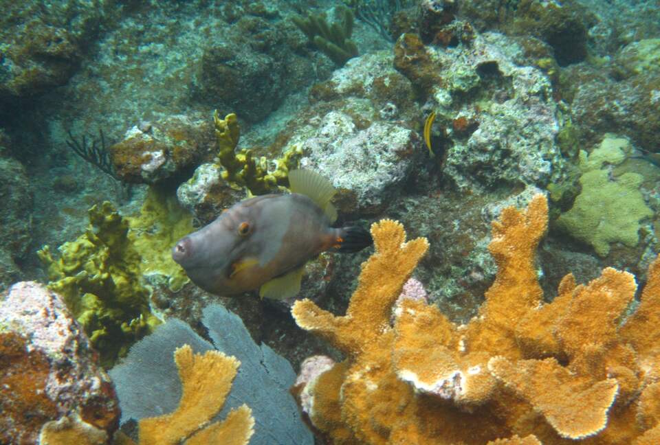 Virgin Islands Sailing – 50’ Luxury Crewed Catamaran - St. Thomas, Virgin Islands, U.S.