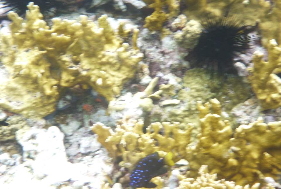 Virgin Islands Sailing – 50’ Luxury Crewed Catamaran - St. Thomas, Virgin Islands, U.S.