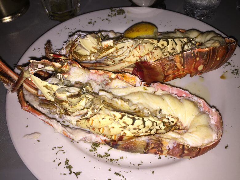 Virgin Islands Sailing – 50’ Luxury Crewed Catamaran - St. Thomas, Virgin Islands, U.S.