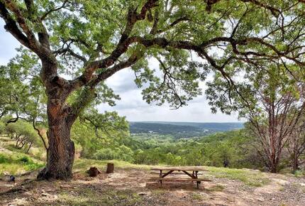 Picnic bench near tree overlooking Hill Country