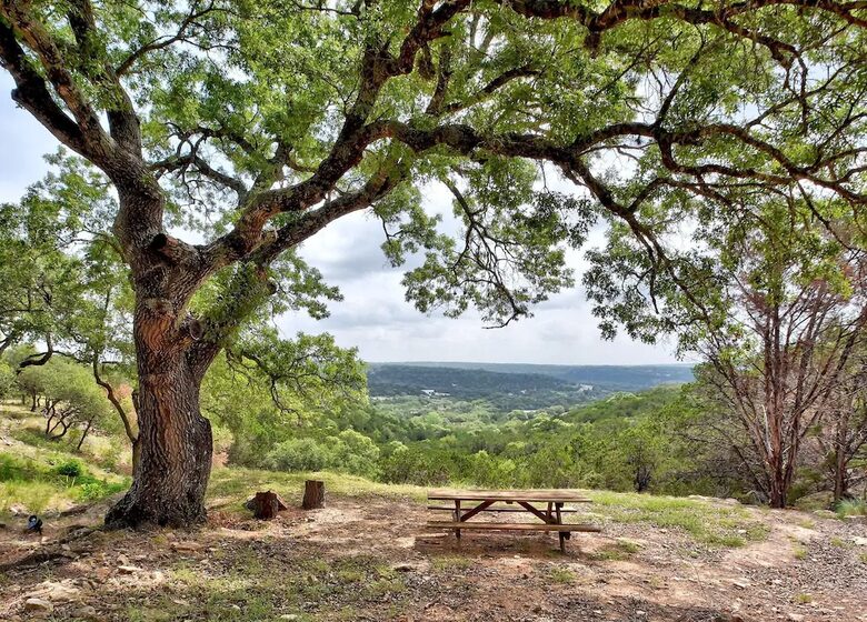 Picnic bench near tree overlooking Hill Country