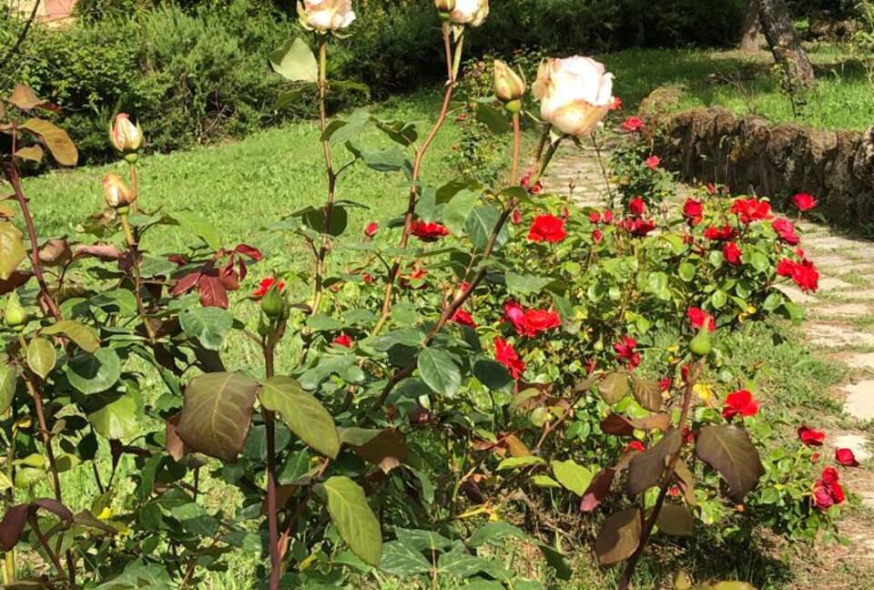 Villa Profumo - Campagnano di Roma, Italy