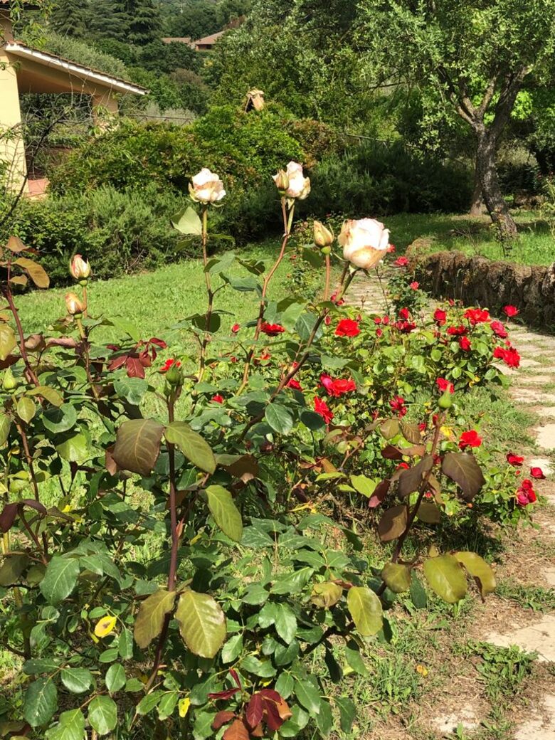 Villa Profumo - Campagnano di Roma, Italy