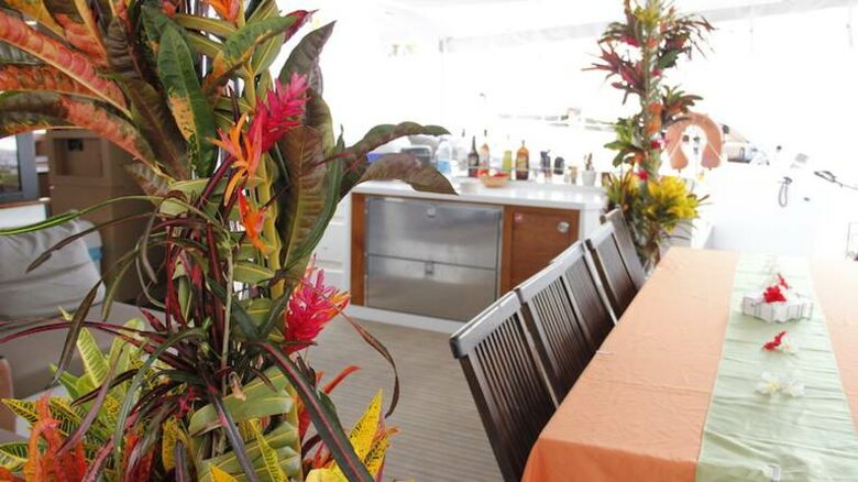 TradeWinds 60ft 5 Cabin Crewed Catamaran Luxury Class - BVI - Tortola, Virgin Islands, British