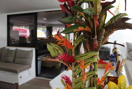 TradeWinds 60ft 5 Cabin Crewed Catamaran Luxury Class - BVI - Tortola, Virgin Islands, British