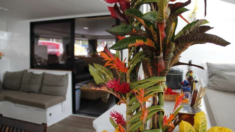 TradeWinds 60ft 5 Cabin Crewed Catamaran Luxury Class - BVI - Tortola, Virgin Islands, British