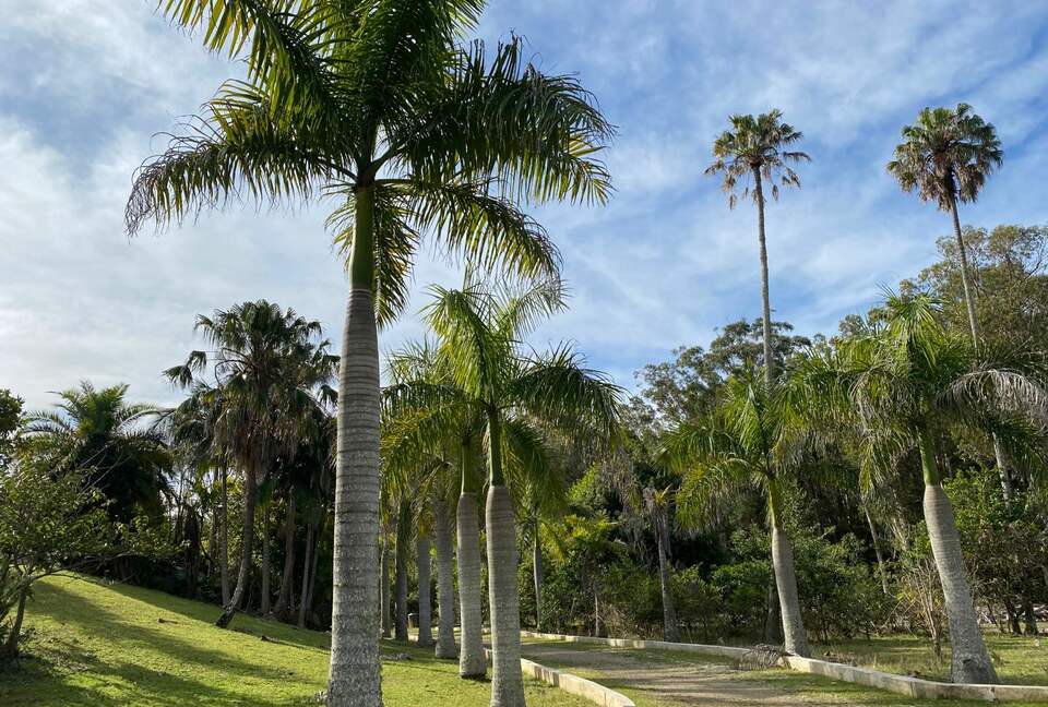 The Chateau on Wallis Island (R) - Wallis Lake, Australia
