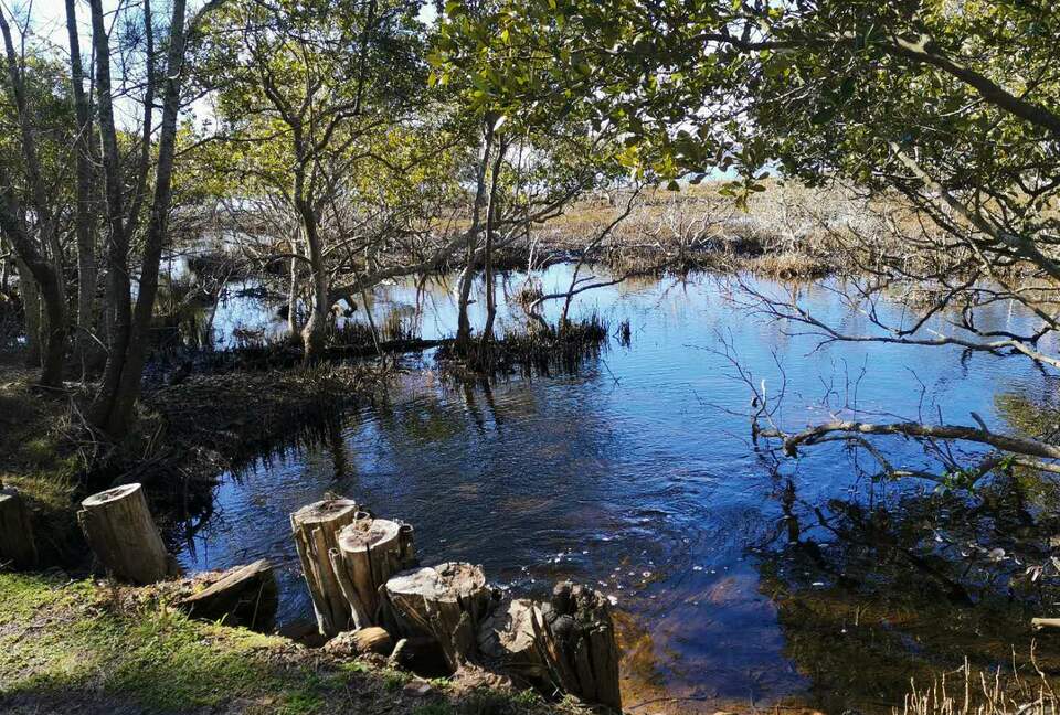The Chateau on Wallis Island (R) - Wallis Lake, Australia