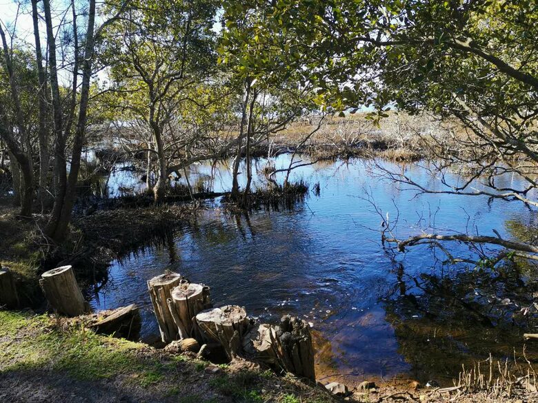 The Chateau on Wallis Island (R) - Wallis Lake, Australia