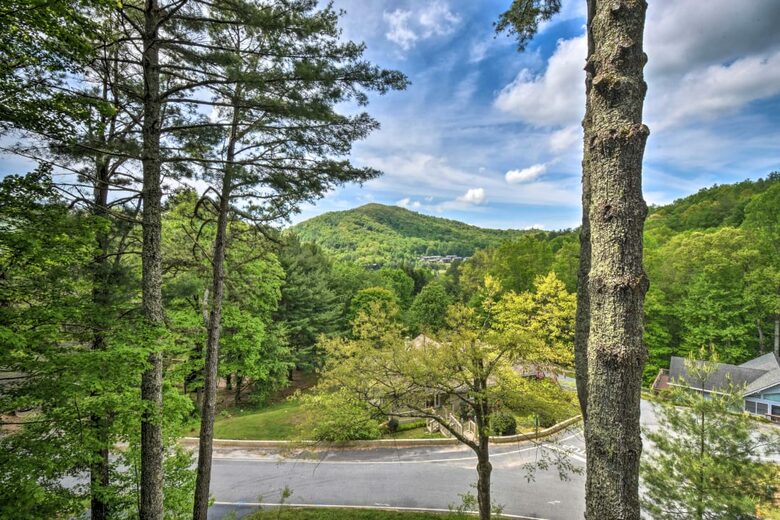 Sky Valley Modern Mountain Living - Sky Valley, Georgia