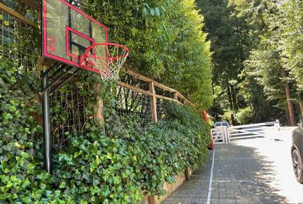 Mill Valley Masterpiece - Mill Valley, California