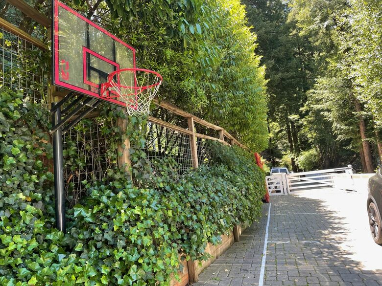 Mill Valley Masterpiece - Mill Valley, California