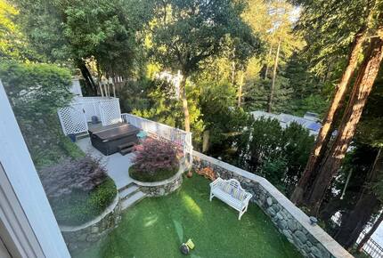 Mill Valley Masterpiece - Mill Valley, California