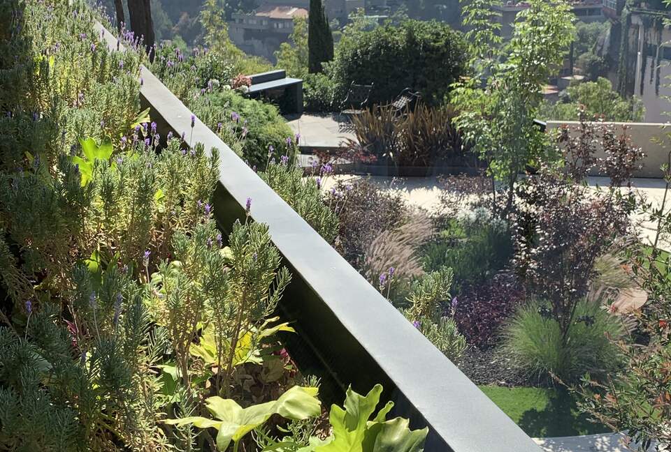 Modernist Mexican Home - Mexico City, Mexico