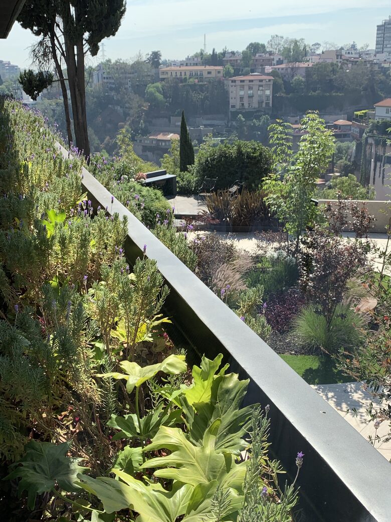 Modernist Mexican Home - Mexico City, Mexico