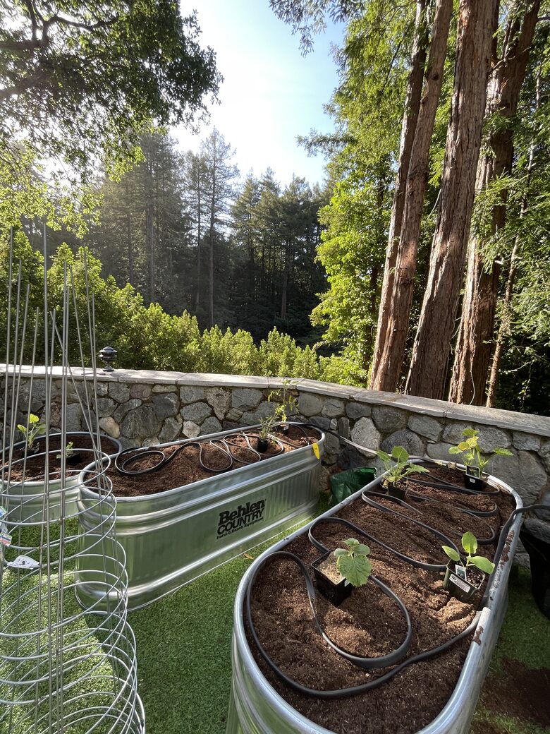 Mill Valley Masterpiece - Mill Valley, California