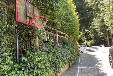 Mill Valley Masterpiece - Mill Valley, California