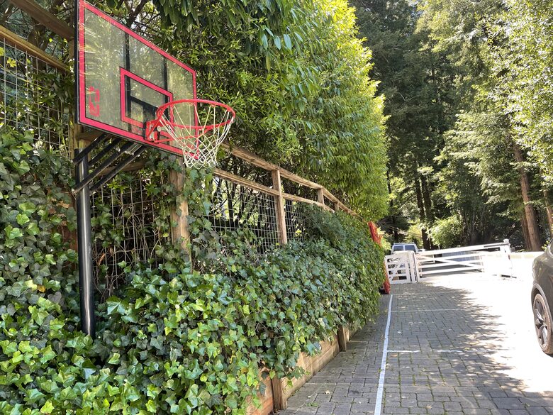 Mill Valley Masterpiece - Mill Valley, California