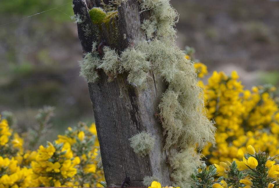 Isle of Skye Cottage In the Scottish Highlands - Nr Dunvegan, United Kingdom